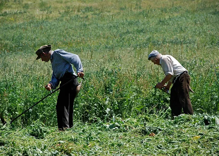 Turisme Rural Lo Palle De Cal Bosch