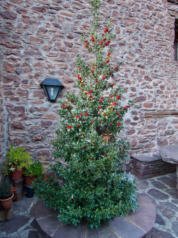 Turisme Rural Lo Palle De Cal Bosch Apartment *