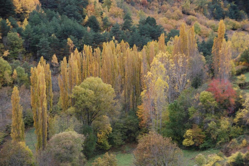 Turisme Rural Lo Palle De Cal Bosch Llagunes