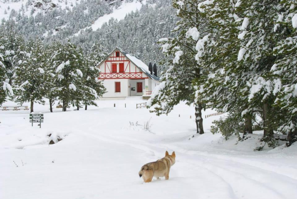 Apartment Turisme Rural Lo Palle De Cal Bosch Llagunes
