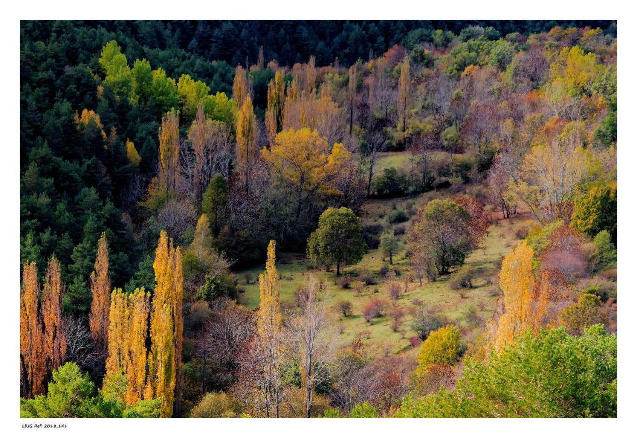 Turisme Rural Lo Palle De Cal Bosch Apartment