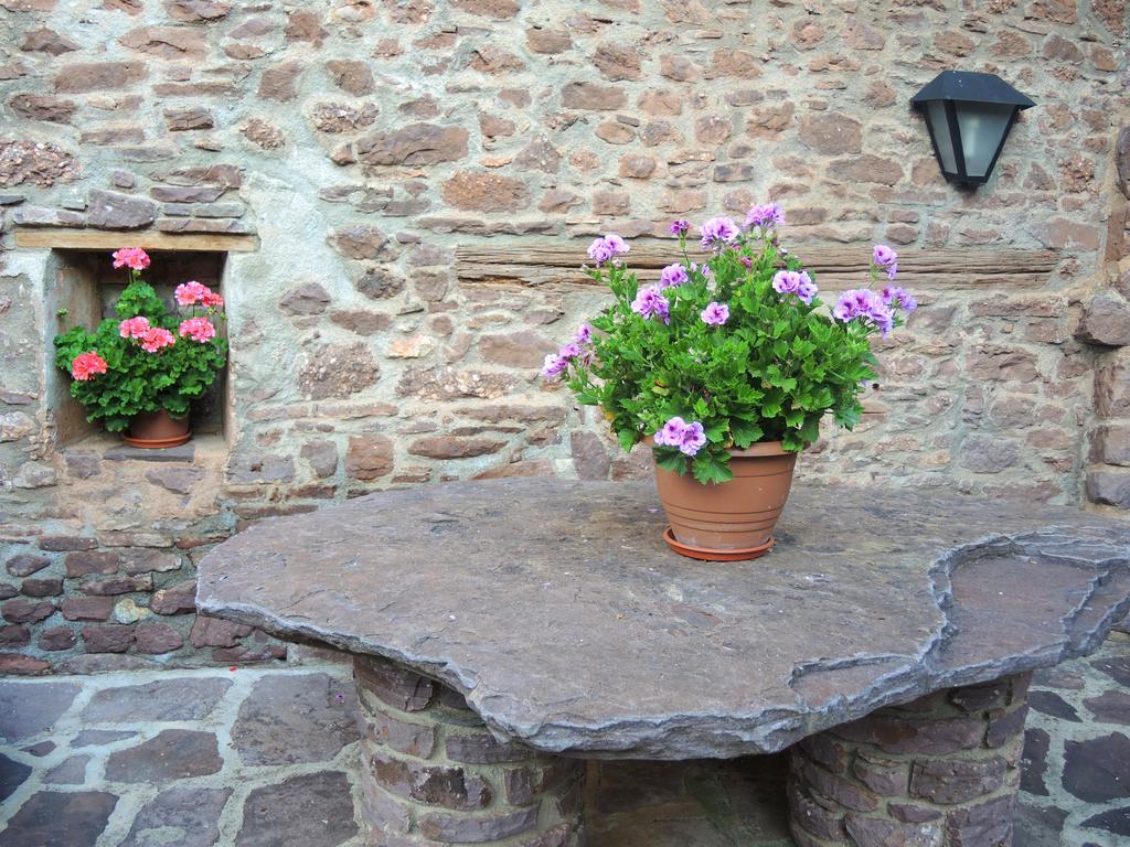Turisme Rural Lo Palle De Cal Bosch * Llagunes